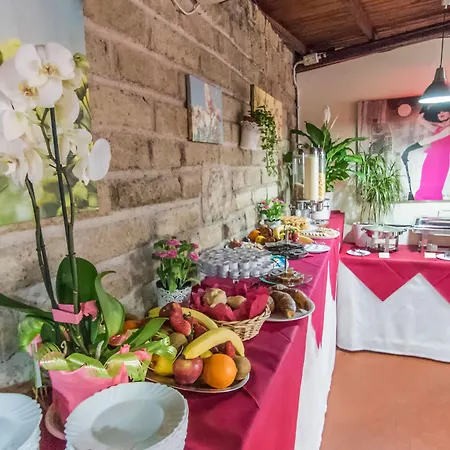 弗莱米尼欧田园小屋花园酒店 4* 罗马