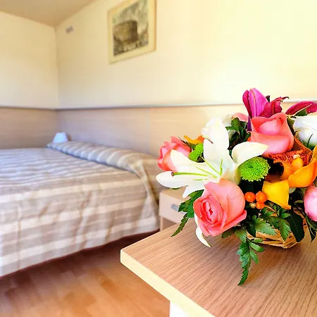 弗莱米尼欧田园小屋花园酒店 营地 4*