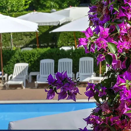 플라미니오 빌리지 파크 로마