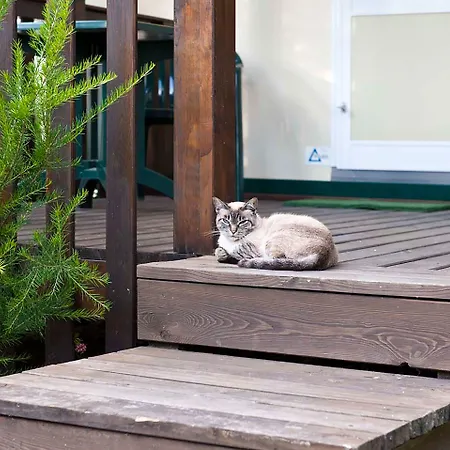 弗莱米尼欧田园小屋花园酒店 罗马