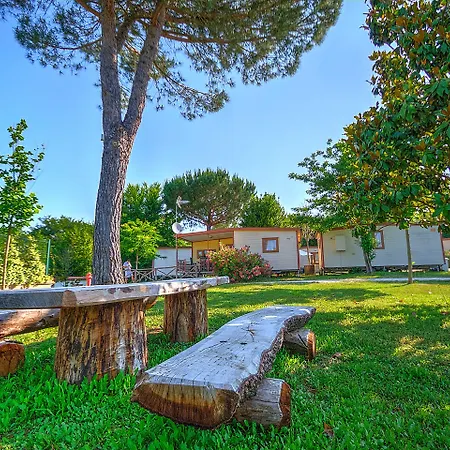 弗莱米尼欧田园小屋花园酒店 4* 罗马