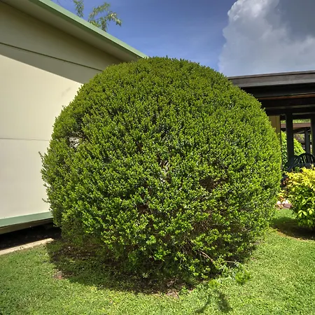 플라미니오 빌리지 파크 캠프장 4*